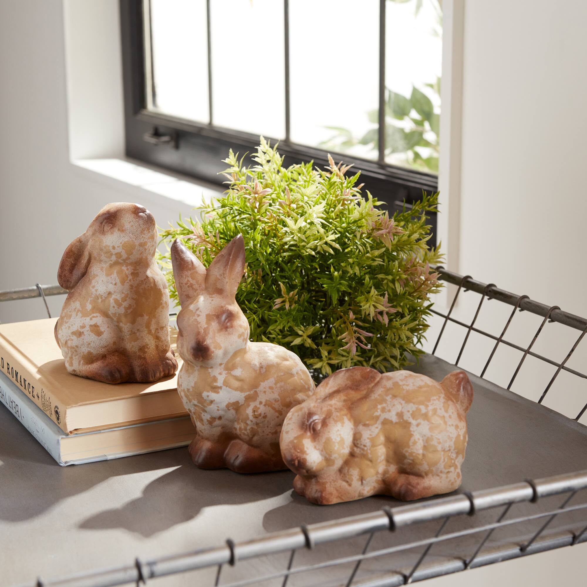 9" Terracotta Rabbit Set, 6ct.